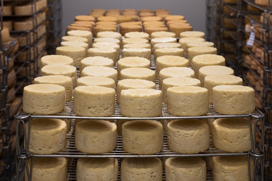 Välkommen till Ostbloggen – för alla oss som älskar ost!
